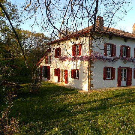 Chambres Maison Labourdasse Saint-Martin-de-Hinx Kültér fotó