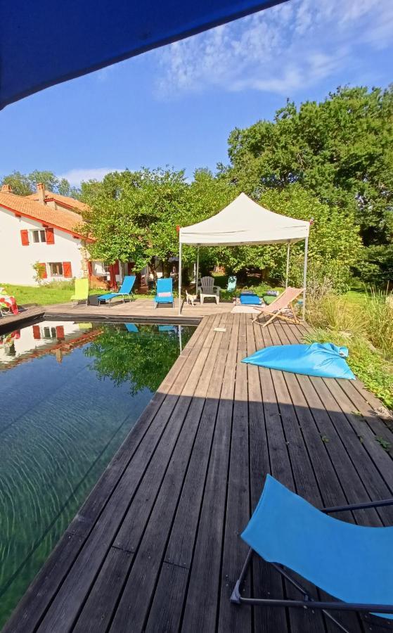Chambres Maison Labourdasse Saint-Martin-de-Hinx Kültér fotó