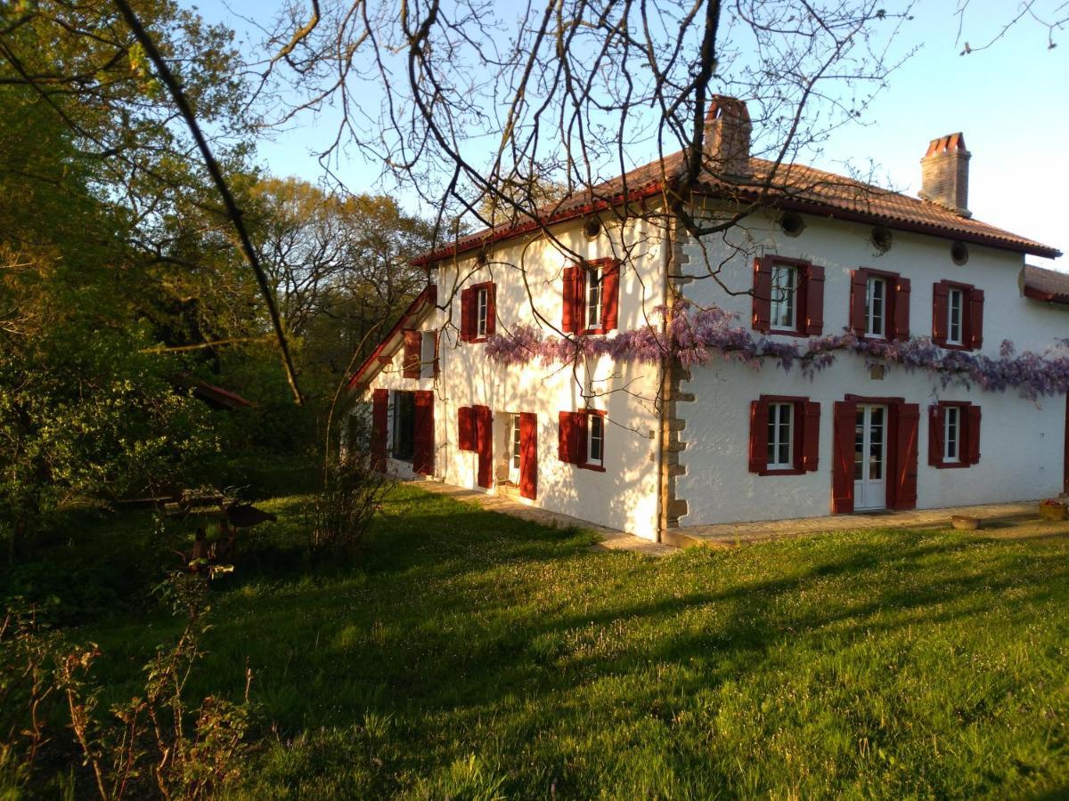 Chambres Maison Labourdasse Saint-Martin-de-Hinx Kültér fotó